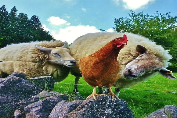 Church View Taddington