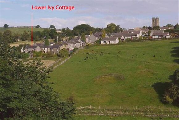 Lower Ivy