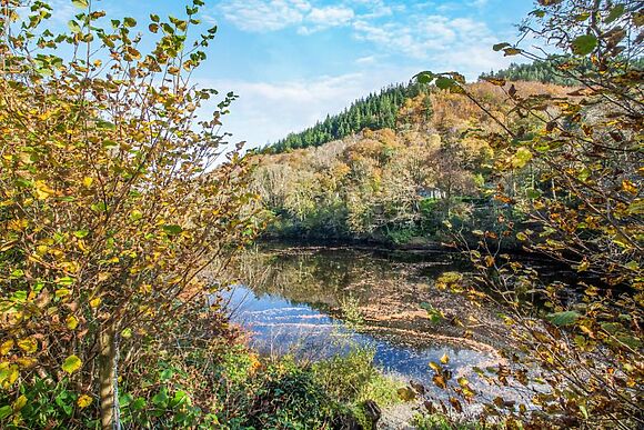 Fairy Glen Apt Three