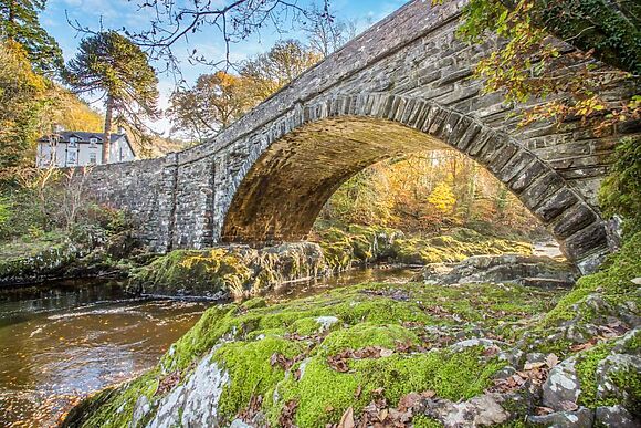 Fairy Glen Apt Three