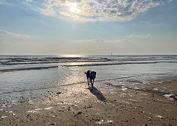 Ivy Cottage Mundesley