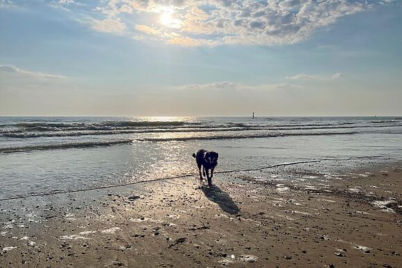 Ivy Cottage Mundesley