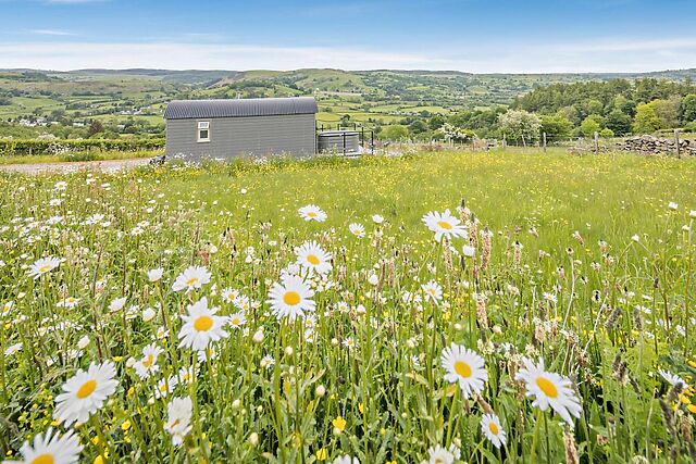 1-Bedroom Hot Tub Cottage in Llangadfan