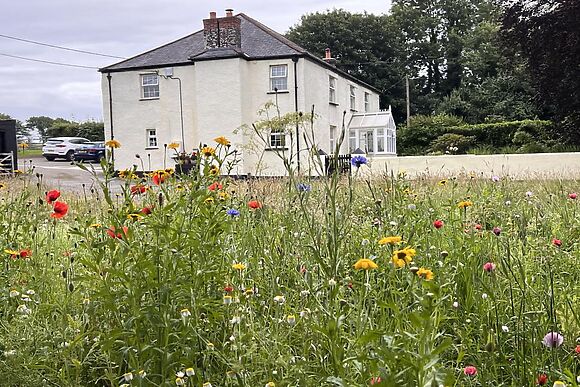 Tillislow Barton Farmhouse