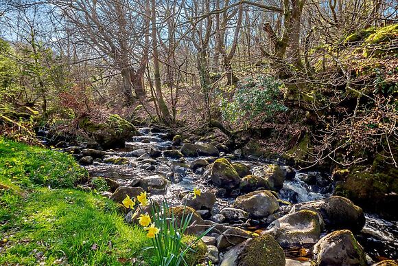 Llety Eryri Snowdonia Woodland Cottage