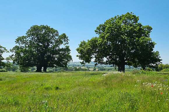 The Annexe At Marrington Estate