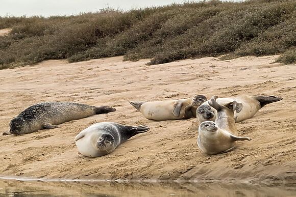 Rose Cottage Thornham