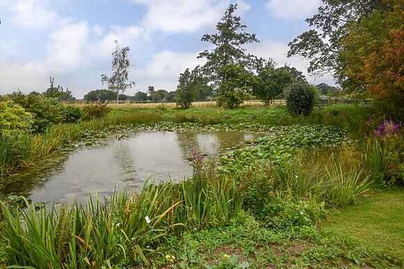 Wissett Farm Lodges