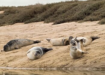 Dolphin Cottage Brancaster Staithe