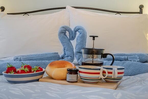 Swallows Nest Briston