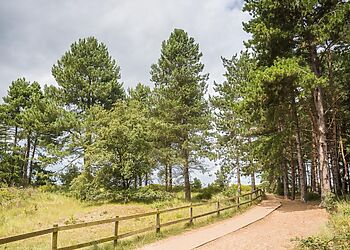 Lapwing Cottage Holkham