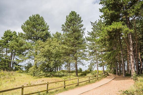 Lapwing Cottage Holkham