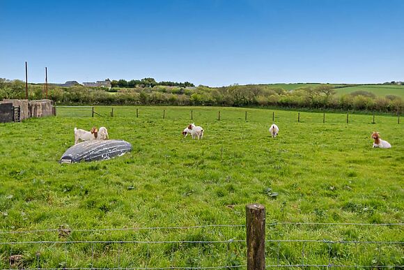 Meadow View Hazelgrove Farm