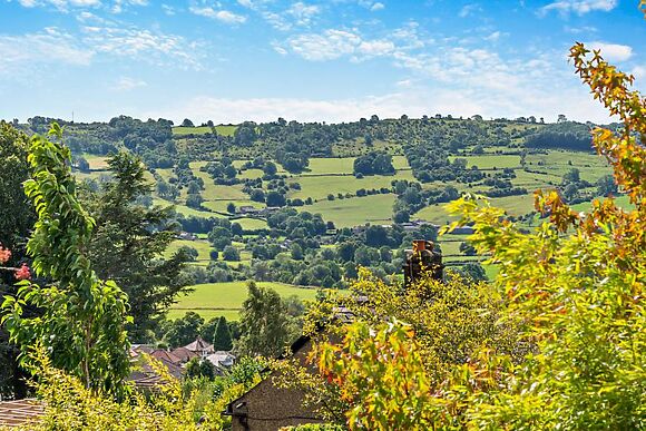 Apple Tree View
