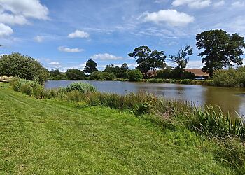 Curlews Rest At Canon Bridge Fishery