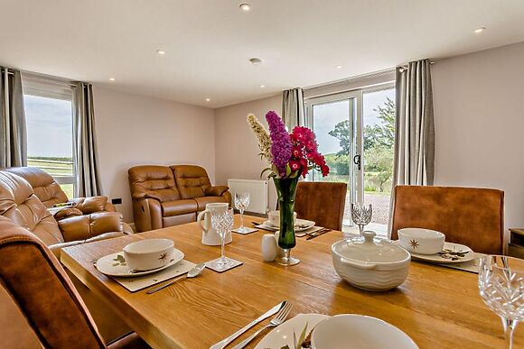 Curlews Rest At Canon Bridge Fishery