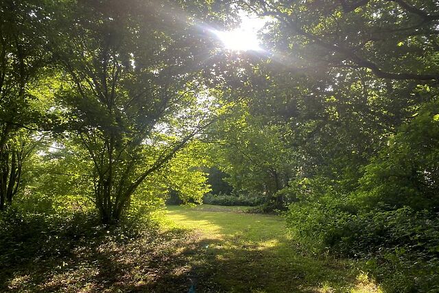 Mavis Cottage Swanmoor Grange