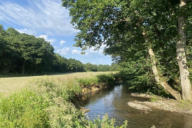 Austen Cottage Swanmoor Grange