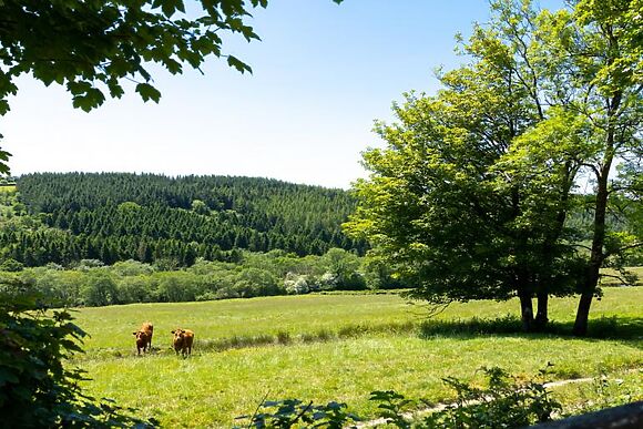 Fron Isaf Cottages Ysgubor Isaf