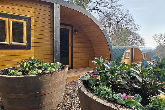 Elm Pantygelli Escapes