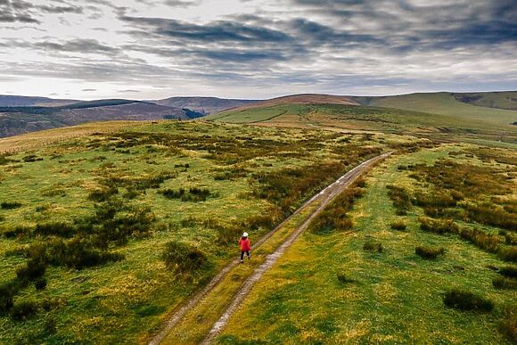 Pinelands At Bryn Tanat