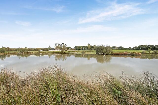 The Old Parlour Weekstone