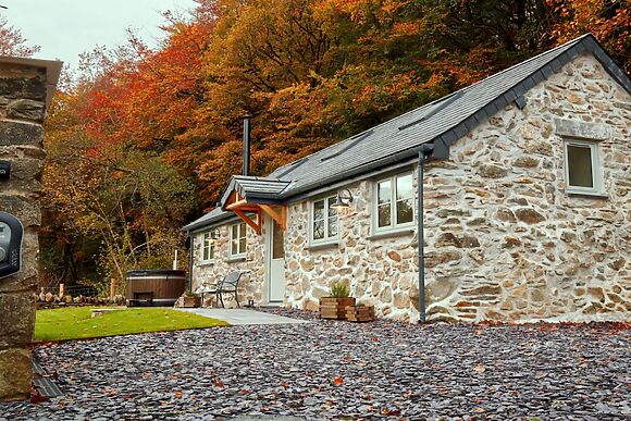 Coed Llydan