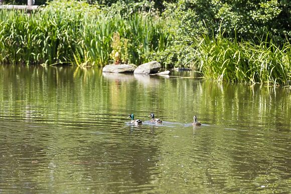 The Whiteacres Lodge