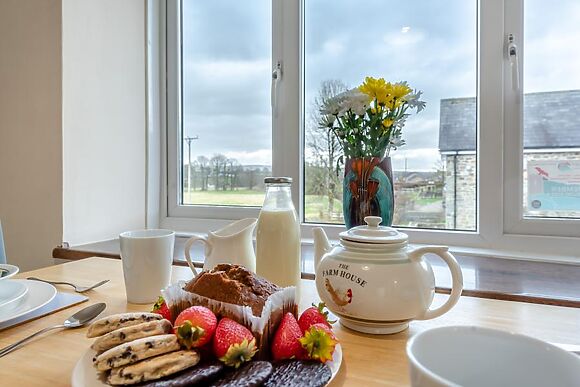 Dyffryn Cledlyn Apartment