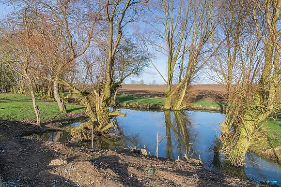Oak View At Breeze Farm