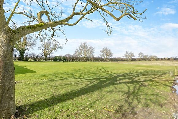Apple Blossom At Breeze Farm