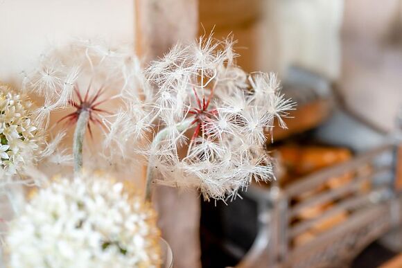 Quintessential Haven