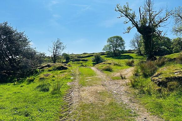 The Cottage Bellman House