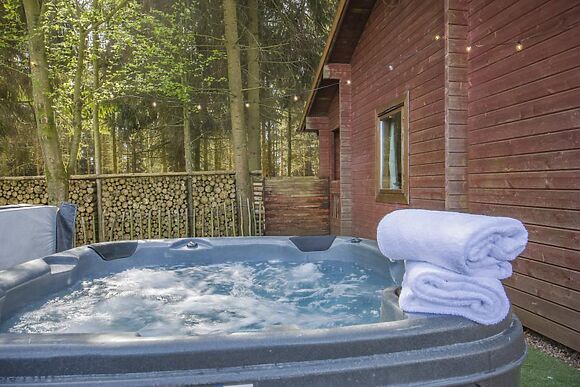 Conifer Tree Newton Lodge