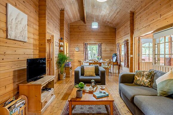 Conifer Tree Newton Lodge