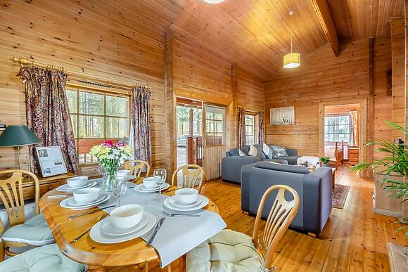 Conifer Tree Newton Lodge