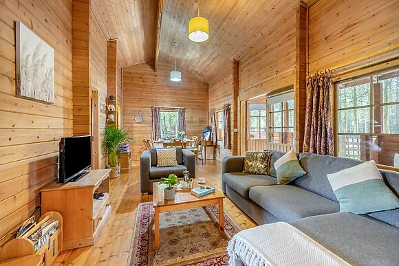 Conifer Tree Newton Lodge