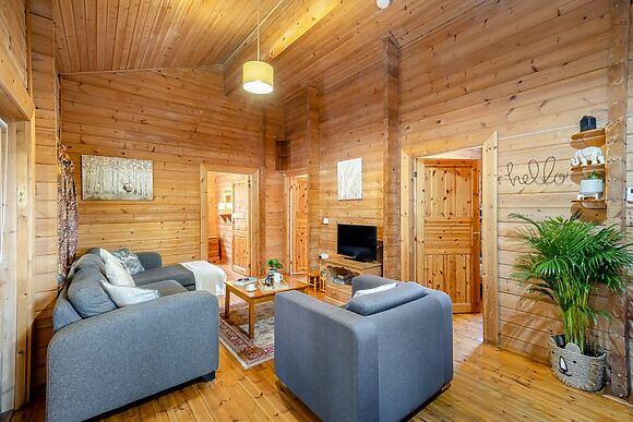 Conifer Tree Newton Lodge