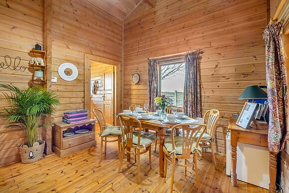 Conifer Tree Newton Lodge