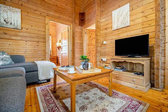 Conifer Tree Newton Lodge