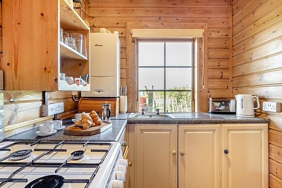 Conifer Tree Newton Lodge