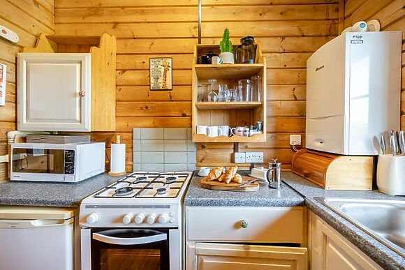 Conifer Tree Newton Lodge