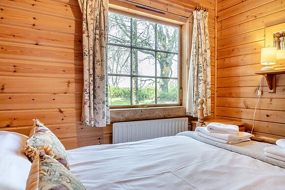 Conifer Tree Newton Lodge