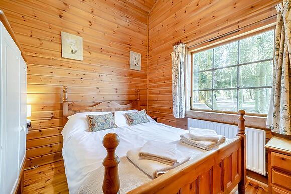 Conifer Tree Newton Lodge