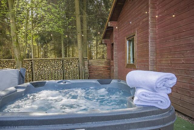 Conifer Tree Newton Lodge