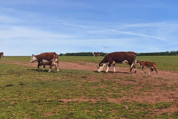 Broadmoor Farm