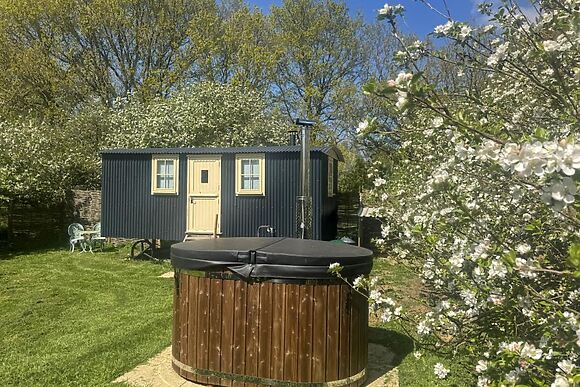 The Orchard Hut