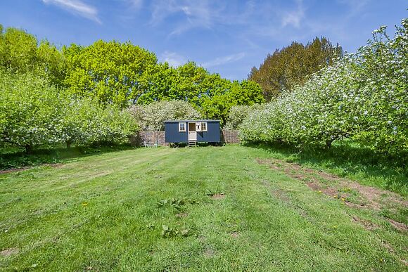 The Orchard Hut