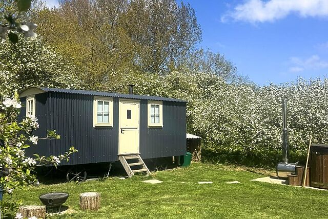 The Orchard Hut