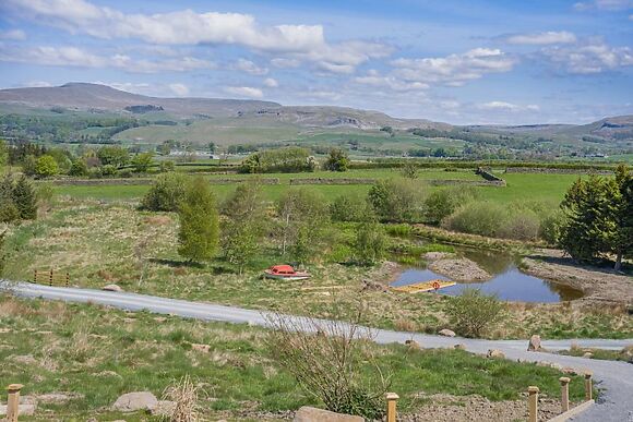 Owl Cottage The Wood